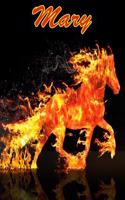 Horse Passion