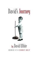 David's Journey: memoirs of a chimney sweep