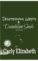 Deleterious Weeds and Dandelion Seeds