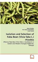 Isolation and Selection of Faba Bean (Vicia faba L.) rhizobia