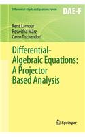 Differential-Algebraic Equations: A Projector Based Analysis