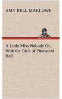 Little Miss Nobody Or, With the Girls of Pinewood Hall
