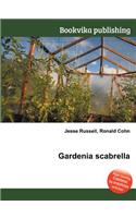 Gardenia Scabrella