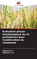 Évaluation physio-morphologique de riz prometteurs pour l'amélioration du rendement
