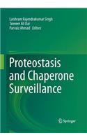 Proteostasis and Chaperone Surveillance