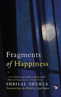 Fragments of Happiness