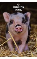 My Address Book: Pig Cover - Address Book for Names, Addresses, Phone Numbers, E-mails and Birthdays