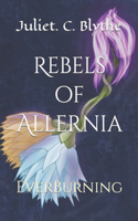 Rebels of Allernia