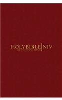 NIV Popular Burgundy Hardback Bible