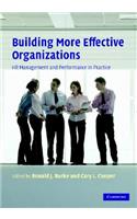 Building More Effective Organizations