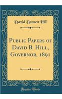 Public Papers of David B. Hill, Governor, 1891 (Classic Reprint)