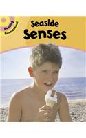 Reading Roundabout: Seaside Senses