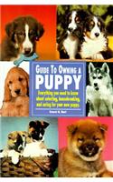 Guide to Owning a Puppy