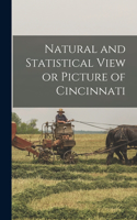 Natural and Statistical View or Picture of Cincinnati