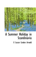 A Summer Holiday in Scandinavia