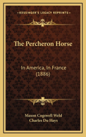 Percheron Horse