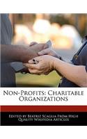 Non-Profits: Charitable Organizations