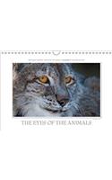 Emotional Moments: the Eyes of the Animals. UK-Version 2017