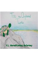 Tilli the Orphaned Turtle