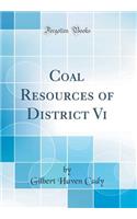 Coal Resources of District VI (Classic Reprint)