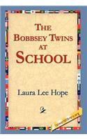The Bobbsey Twins at School: (English)