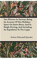 Two Winters In Norway; Being An Account Of Two Holidays Spent On Snow-Shoes, And In Sleigh-Driving, And Including An Expedition To The Lapps