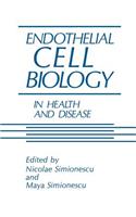 Endothelial Cell Biology in Health and Disease