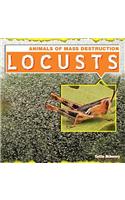Locusts