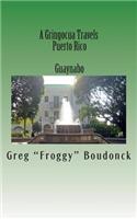 A Gringocua Travels Puerto Rico Guaynabo