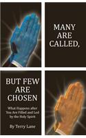 Many Are Called, But Few Are Chosen: What Happens After You Are Filled and Led by the Holy Spirit(English)