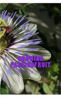 Growing Passionfruit