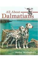 All about Dalmatians