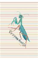 Praying mantis