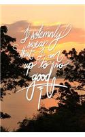 I solemnly swear that I am up to no good