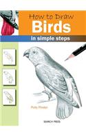 How to Draw: Birds
