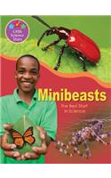 Little Science Stars: Minibeasts