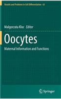 Oocytes