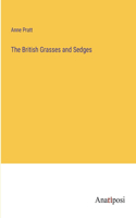 British Grasses and Sedges