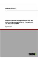 Gesellschaftliche Stigmatisierung und die Entstehung von Subkulturen - Dargestellt am Beispiel von S/M: (German)