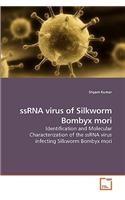 ssRNA virus of Silkworm Bombyx mori