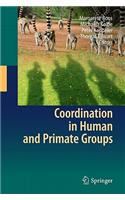 Coordination in Human and Primate Groups