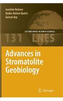 Advances in Stromatolite Geobiology