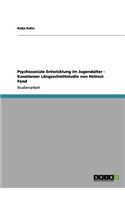 Psychosoziale Entwicklung im Jugendalter - Konstanzer Längsschnittstudie von Helmut Fend: (German)