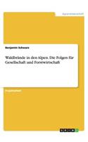 Waldbrände in den Alpen. Die Folgen für Gesellschaft und Forstwirtschaft