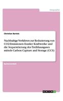 Nachhaltige Verfahren zur Reduzierung von CO2-Emissionen fossiler Kraftwerke und die Sequestrierung des Treibhausgases mittels Carbon Capture and Storage (CCS)