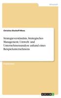 Strategieverständnis, Strategisches Management, Umwelt- und Unternehmensanalyse anhand eines Beispielunternehmens
