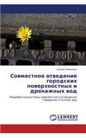 Sovmestnoe Otvedenie Gorodskikh Poverkhnostnykh I Drenazhnykh Vod