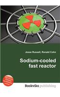 Sodium-Cooled Fast Reactor