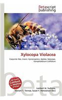 Xylocopa Violacea: (English)