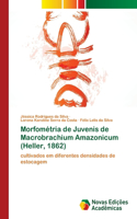 Morfométria de Juvenis de Macrobrachium Amazonicum (Heller, 1862)